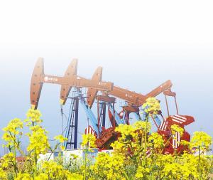 胡文瑄 深耕石油地質(zhì)的杰出科學(xué)家